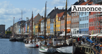 De bedste falafelsteder i København